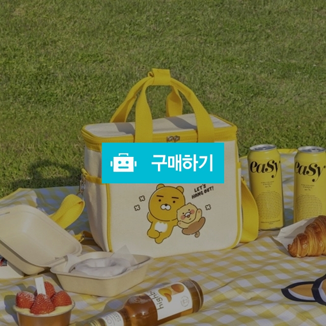 카카오프렌즈 피크닉 캠핑 차량용 보냉가방 휴대용 쿨러백 / 설래임 / 디비디비 / 구매하기 / 특가할인
