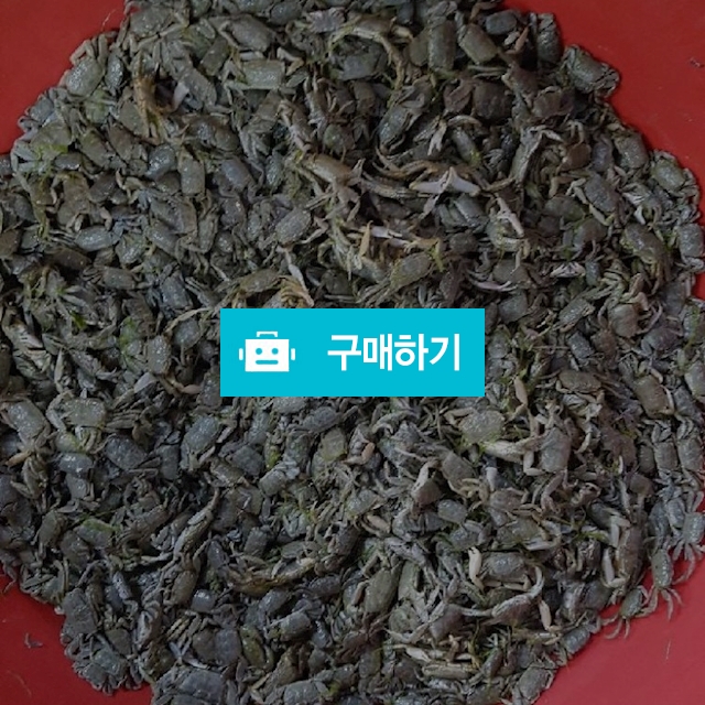 칠게 kg당 7000~15000원 / 마량태민수산(중매인7번) / 디비디비 / 구매하기 / 특가할인