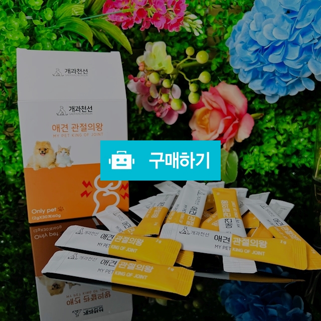 개과천선 강아지 관절 영양제 전연령 애견 관절의 왕 / 개과천선 / 디비디비 / 구매하기 / 특가할인