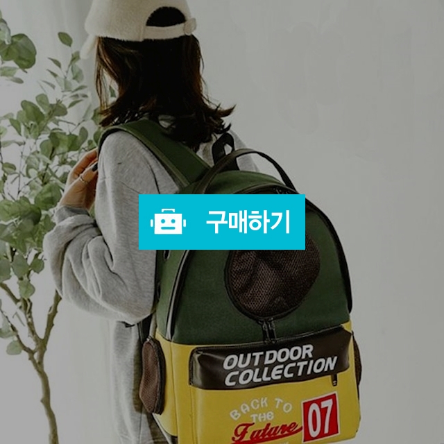반려동물 이동가방 고양이 강아지 산책가방 애견 백팩 이동장 / 댕유마켓님의 스토어 / 디비디비 / 구매하기 / 특가할인