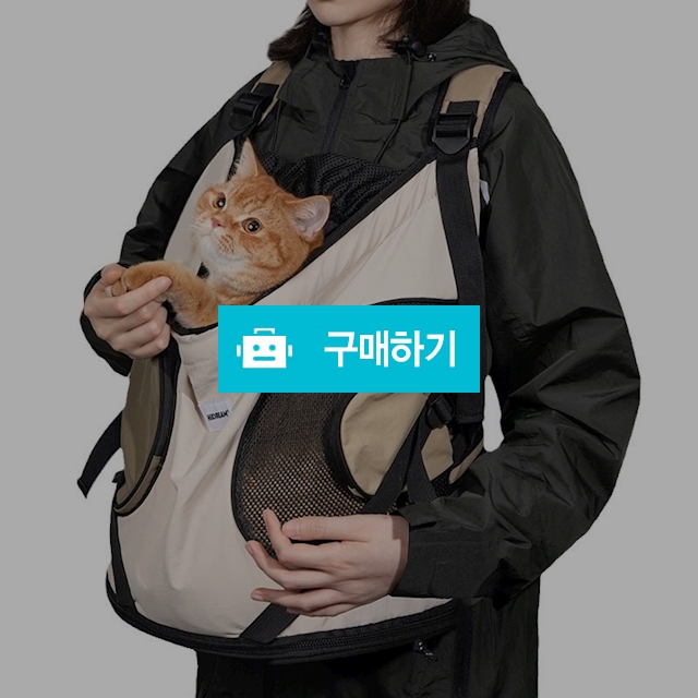 냥슬아치 허그 포대기 애견 앞가방 이동가방 고양이 강아지 / 냥슬아치님의 스토어 / 디비디비 / 구매하기 / 특가할인