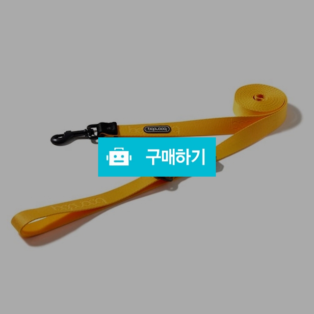 분독 플레이리쉬 3m20Cm 롱리드줄  / 제라미펫님의 스토어 / 디비디비 / 구매하기 / 특가할인