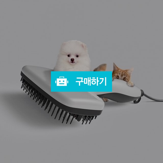 디자이너스 펫스타일러 강아지브러쉬 고양이빗 / 노라 리빙 / 디비디비 / 구매하기 / 특가할인