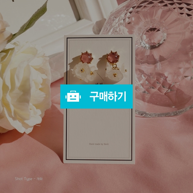 꽃피는 봄이 오면 개화ver. / 세빛 / 디비디비 / 구매하기 / 특가할인