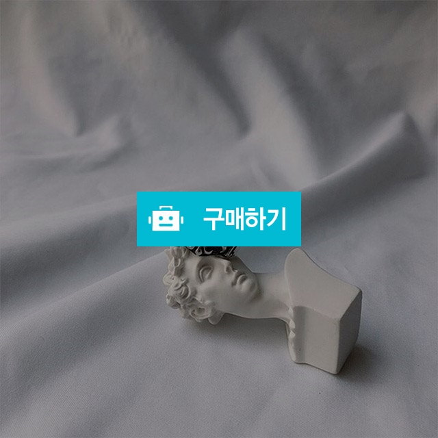 크롬가드링 크롬가드반지 남녀공용 써지컬 / 에오비츠 Eovys / 디비디비 / 구매하기 / 특가할인