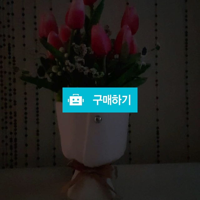 3담터치튤립 / poeunwell님의 스토어 / 디비디비 / 구매하기 / 특가할인