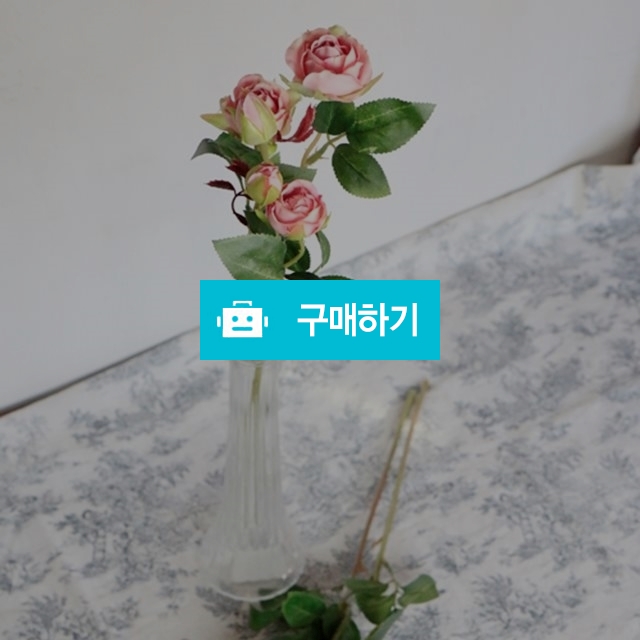 자나장미조화 / 로라상점 / 디비디비 / 구매하기 / 특가할인