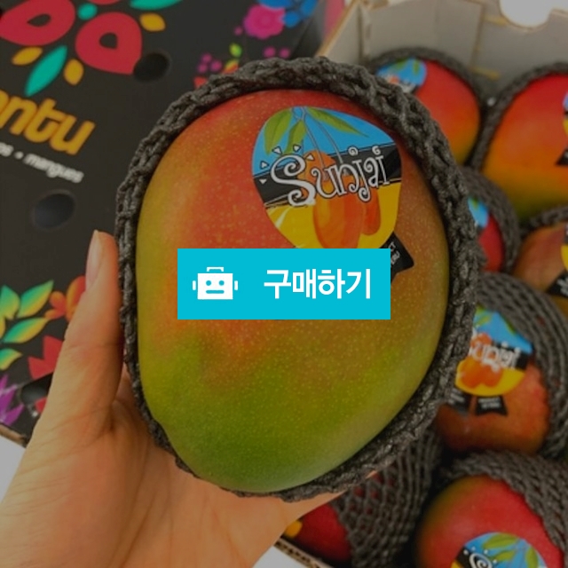 고당도 페루 애플망고 2kg 4kg 선물 / 프로벨류 / 디비디비 / 구매하기 / 특가할인