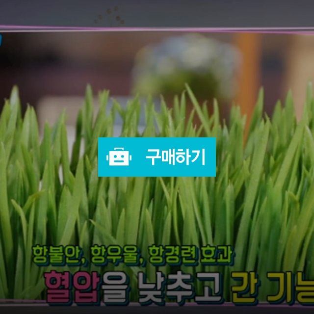 지리산 산청 청정지역 새싹보리씨앗 1kg 2kg 3kg / 극한직업 / 디비디비 / 구매하기 / 특가할인