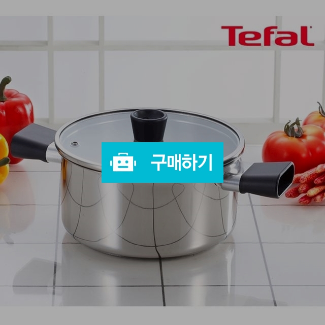 테팔 스텐 이지그립 양수냄비 20cm / 드숑 / 디비디비 / 구매하기 / 특가할인
