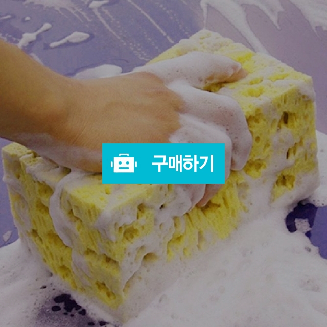 자동차세척용품008 생활용품 자동차용품 세차 브러쉬 / 찍신님의 스토어 / 디비디비 / 구매하기 / 특가할인