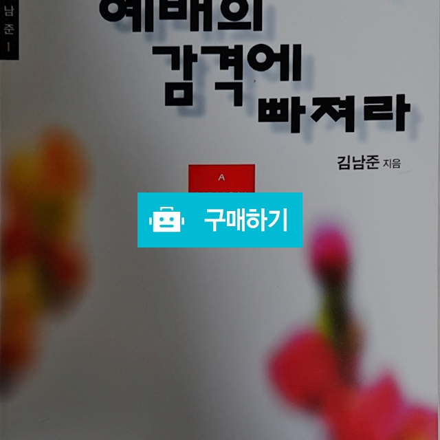 예배의 감격에 빠져라(김남준/규장) / 크로스라이프 출판사 / 디비디비 / 구매하기 / 특가할인