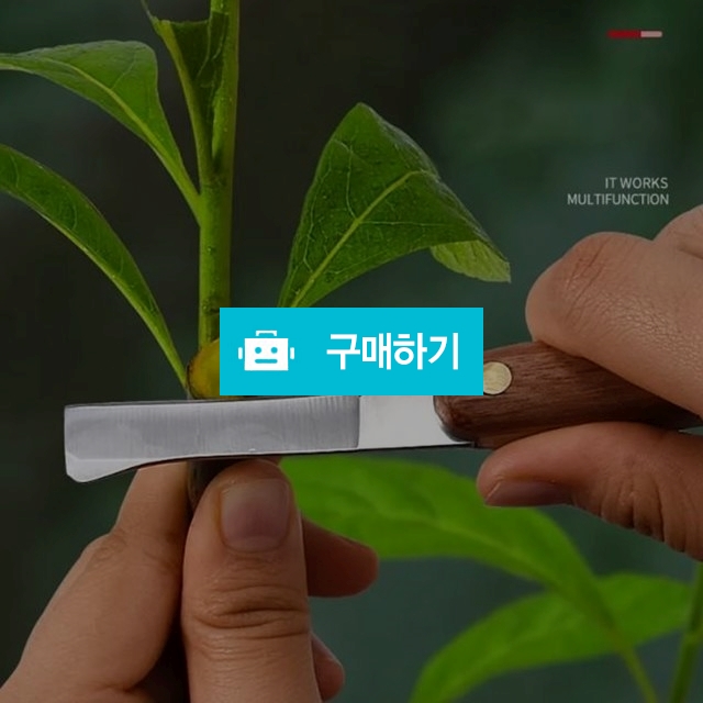 접목커터칼 접이식 전정 나이프 정원 나무손잡이 / 찍신님의 스토어 / 디비디비 / 구매하기 / 특가할인