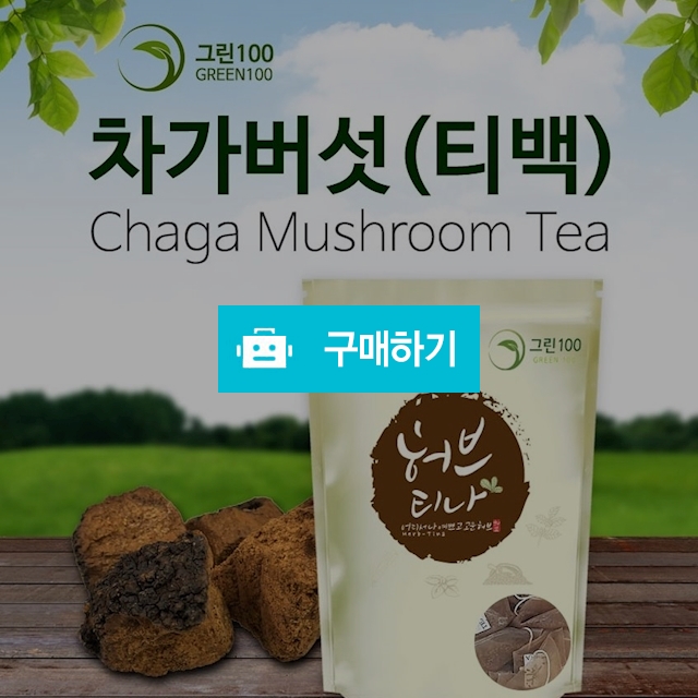 한방차 직거래 장터 / 대구보더님의 스토어 / 디비디비 / 구매하기 / 특가할인