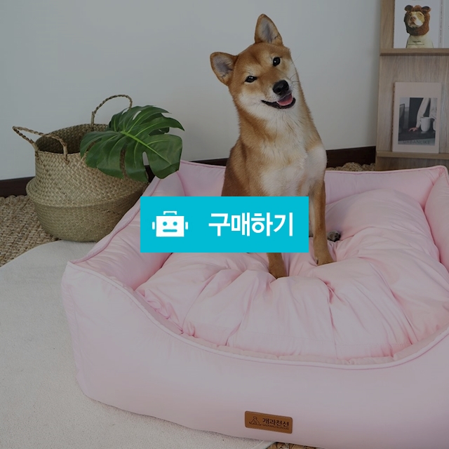 개과천선 노멜 애견 방석 강아지 방석 슬개골 예방 마약방석 은나노 원단 / 개과천선 / 디비디비 / 구매하기 / 특가할인