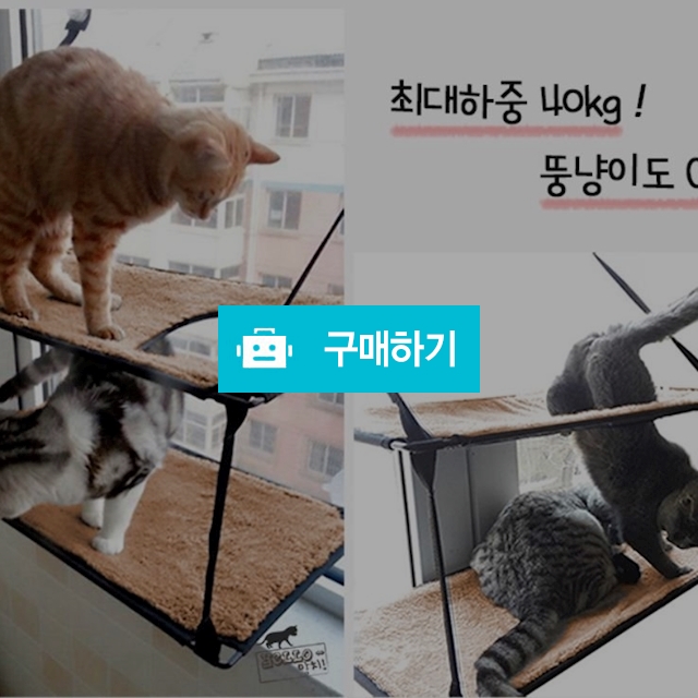 헬로망치 고양이해먹 창문해먹 캣해먹 2단 / 뷰티망고님의 스토어 / 디비디비 / 구매하기 / 특가할인