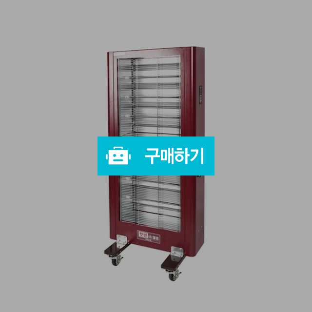 웰템 핫센 전기히터 나노탄소섬유 히터 사무실용 업소용 WHE-100a R / (주)로즈비님의 스토어 / 디비디비 / 구매하기 / 특가할인