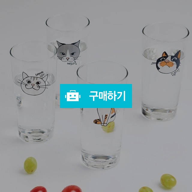 냥냥이 맥주잔 4P / 청도그릇백화점님의 스토어 / 디비디비 / 구매하기 / 특가할인