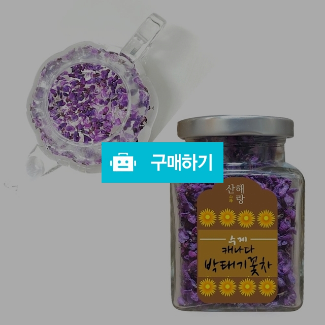 산해랑 수제꽃차 캐나다박태기꽃차(밥풀떼기꽃차) 15g / 베니스의상인님의 스토어 / 디비디비 / 구매하기 / 특가할인