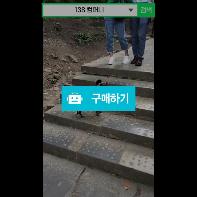강아지 특이한옷 웃긴옷 카우보이 코스프레 코스튬 의상 / 컴퍼니138 / 디비디비 / 구매하기 / 특가할인