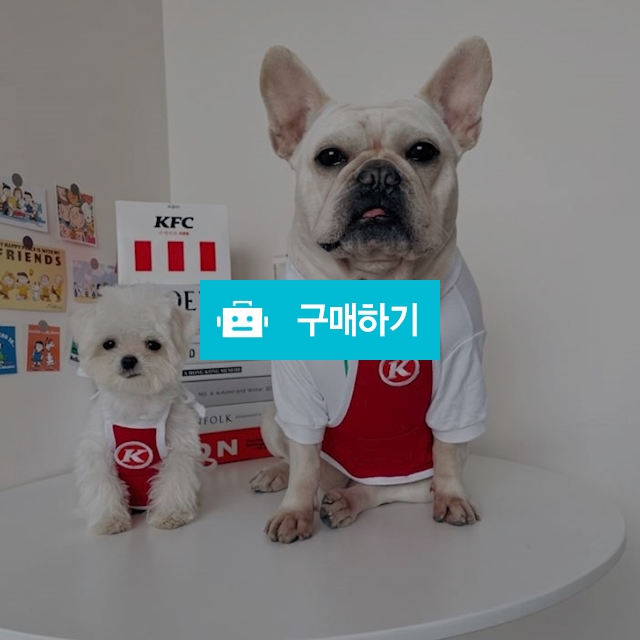 냥슬아치 고양이 강아지 옷 닭튀김 종업원 앞치마 티셔츠  / 냥슬아치님의 스토어 / 디비디비 / 구매하기 / 특가할인