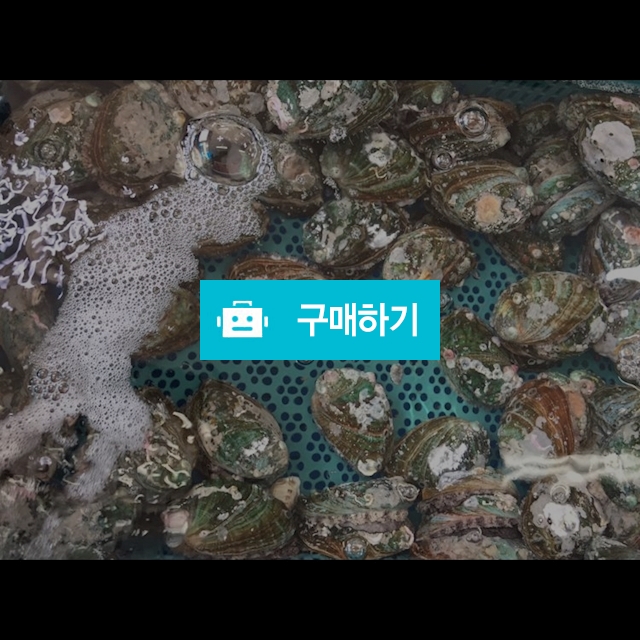 전복 kg당 20000~75000원 / 마량태민수산(중매인7번) / 디비디비 / 구매하기 / 특가할인
