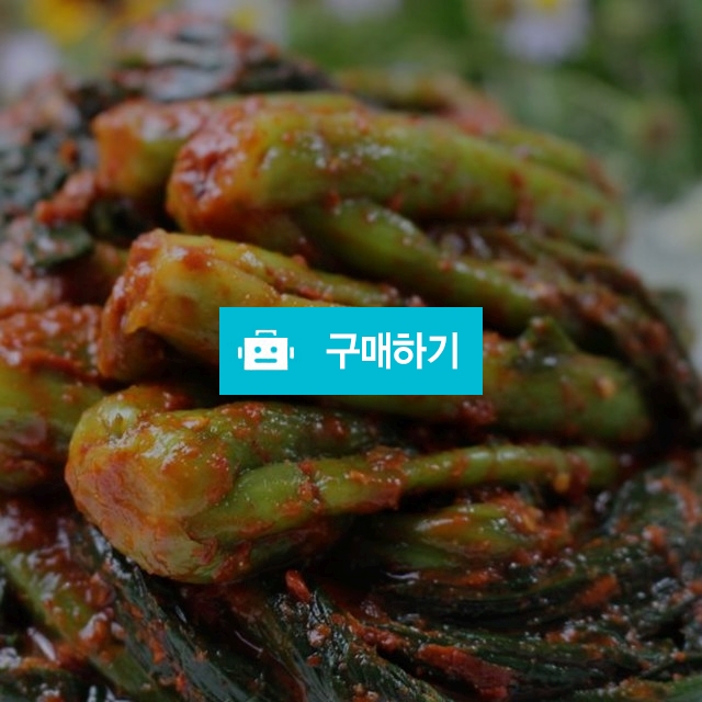 종말이푸드 여수돌산 갓김치 3kg/묵은지갓김치 3kg 종말이김치 / Samaison님의 스토어 / 디비디비 / 구매하기 / 특가할인