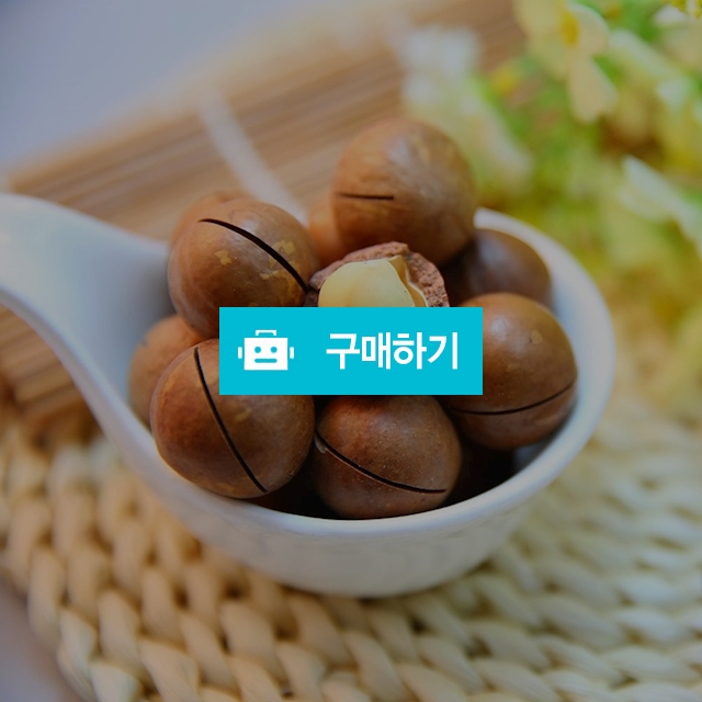 통마카다미아 베트남 껍질 까먹는 넛 견과류 500g 거래처선물 / 할인팡팡 / 디비디비 / 구매하기 / 특가할인