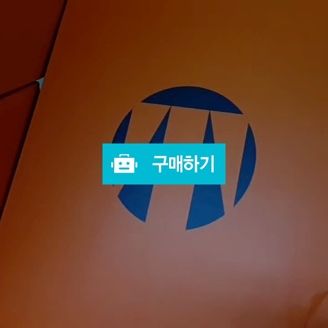 테크니카 플라즈마 S GTX  남성용 트레킹화 2세대 맞춤 등산화 / JSTBL / 디비디비 / 구매하기 / 특가할인