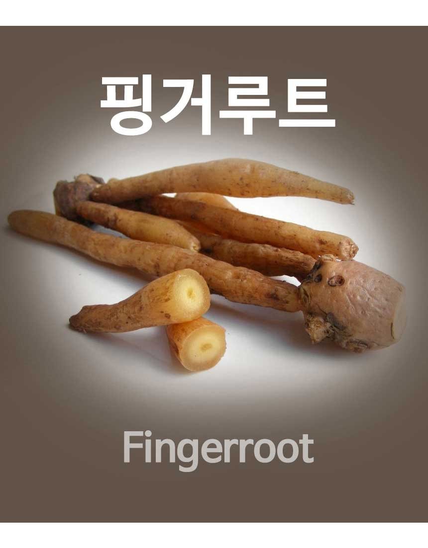 핑거루트 환,가루 500g 1kg, 13,000원, 릴리스타 [디비디비] 핑거루트 환,가루  500g 1kg | 13,000원