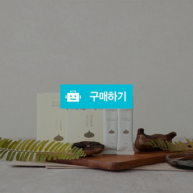 (웰빙바이오) 유산균과 함께 갈릭 12gx10포 / maxplus / 디비디비 / 구매하기 / 특가할인