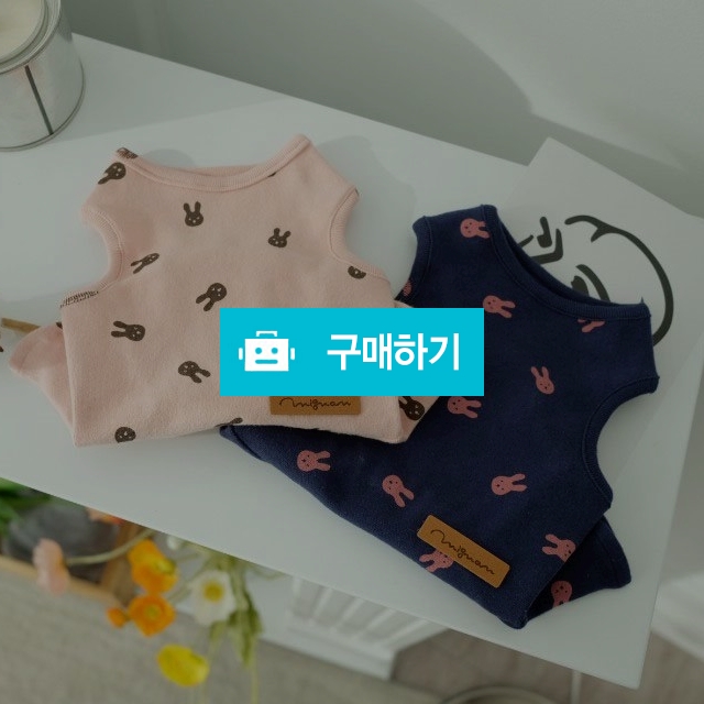 강아지옷 봄신상 토끼원피스 2color  무료배송 / PET DRESS / 디비디비 / 구매하기 / 특가할인