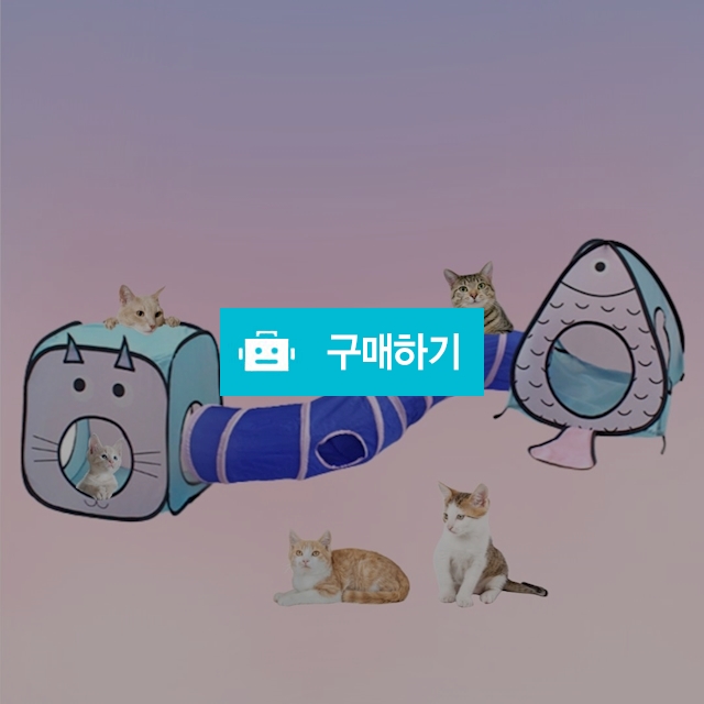 냥슬아치 고양이 올인원 숨숨 캣터널 장난감 놀이터 / 냥슬아치님의 스토어 / 디비디비 / 구매하기 / 특가할인