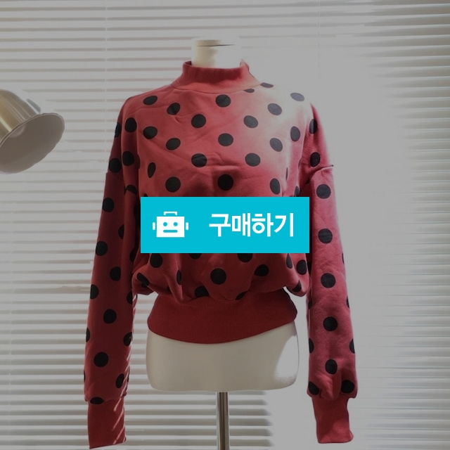 땡땡이 기모 목맨투맨 숏기장 / 엘콘도르님의 스토어 / 디비디비 / 구매하기 / 특가할인
