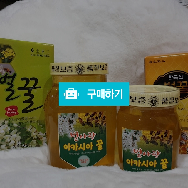 벌사랑 아카시아꿀 1.2kg / 허니정님의 스토어 / 디비디비 / 구매하기 / 특가할인