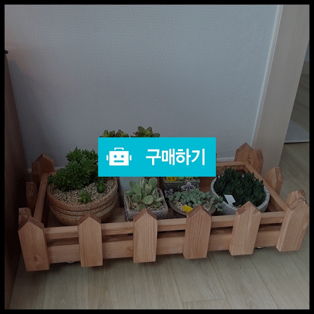 이동식 원목 화분 받침대 다육이 선반 바퀴달린 정리대 울타리형 / 와우리빙님의 스토어 / 디비디비 / 구매하기 / 특가할인