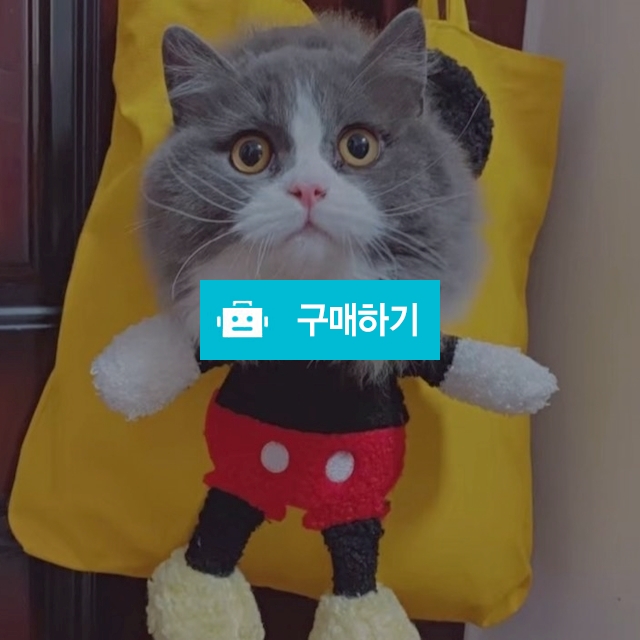 애견 외출용 가방 고양이 믹키 백  / 핫심쿵님의 스토어 / 디비디비 / 구매하기 / 특가할인
