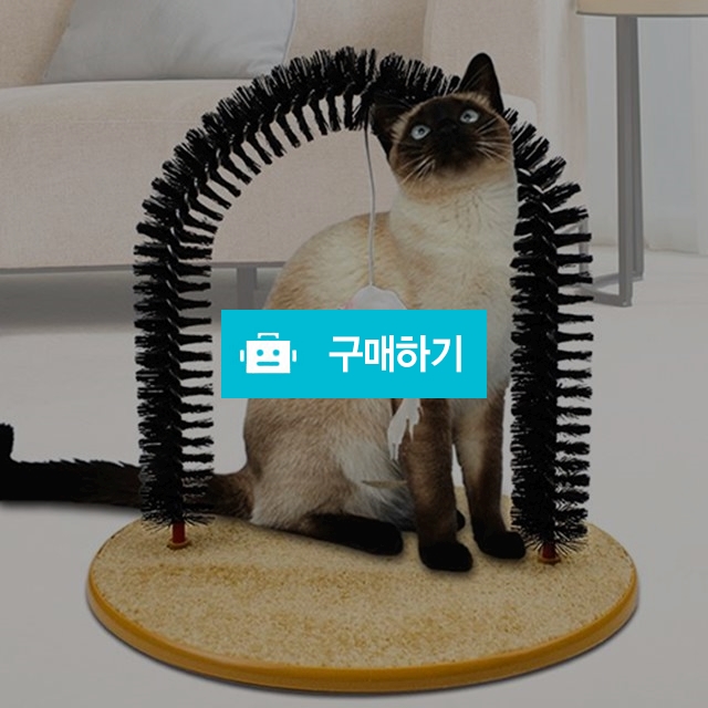 탁펫 고양이 빗 거치대 / 리빙듀오님의 스토어 / 디비디비 / 구매하기 / 특가할인
