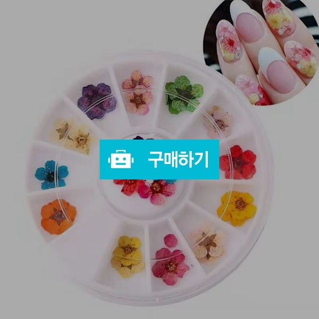12색 드라이플라워네일장식(대) / shxjzx77님의 스토어 / 디비디비 / 구매하기 / 특가할인