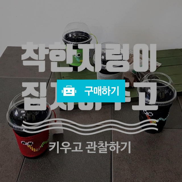 착한 지렁이 집 지어주고 키우고 관찰하기 체험 자수 키트 / 닥터초록 / 디비디비 / 구매하기 / 특가할인