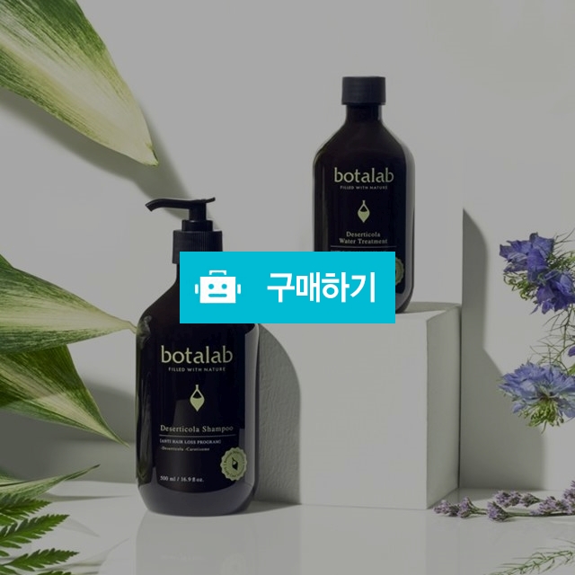 보타랩 데저티콜라 헤어케어 세트 (샴푸+트리트먼트)/발모도움/탈모방지/손상된머리결/두피자극無 / 다함 / 디비디비 / 구매하기 / 특가할인