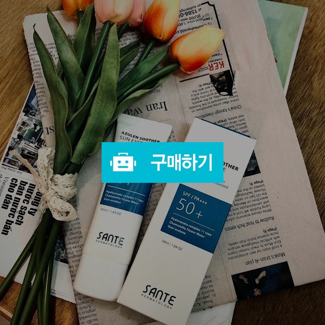 백탁없는 선크림 너무 순한 수더 썬 에센스 / 슈실장의뷰티랩님의 스토어 / 디비디비 / 구매하기 / 특가할인