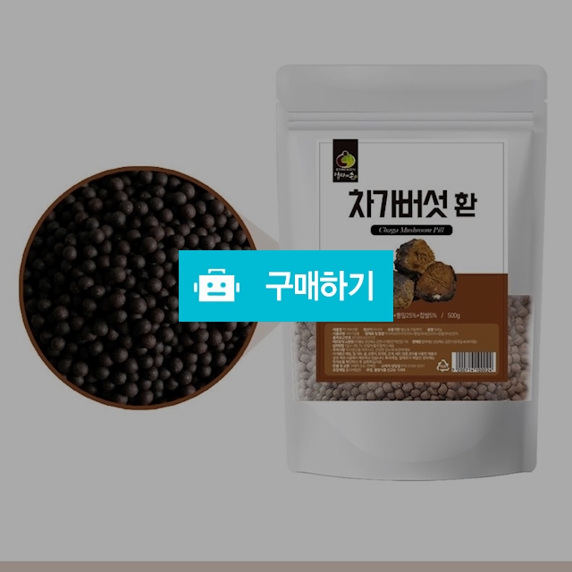 엄마애손 러시아 차가버섯환 500g / 베니스의상인님의 스토어 / 디비디비 / 구매하기 / 특가할인