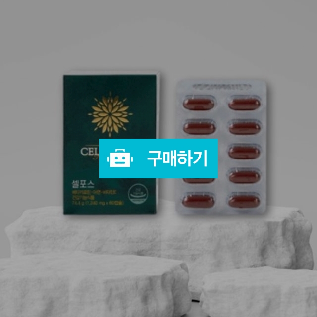 도도인터내셔널 셀포드462 (1,260mg x 60캡슐) 셀이야 / 조브로의 뷰티 다이어트 / 디비디비 / 구매하기 / 특가할인