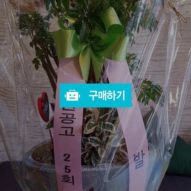 개업화분 / 하트플라워 / 디비디비 / 구매하기 / 특가할인