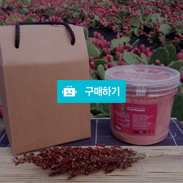 천년초 열매분말 400g / 정명애님의 스토어 / 디비디비 / 구매하기 / 특가할인