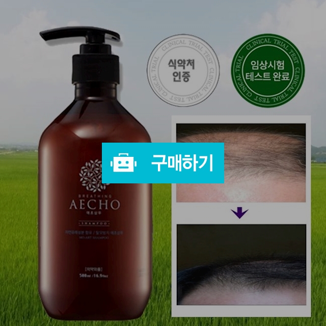 탈모샴푸 1위 하고파 / JUNO님의 스토어 / 디비디비 / 구매하기 / 특가할인