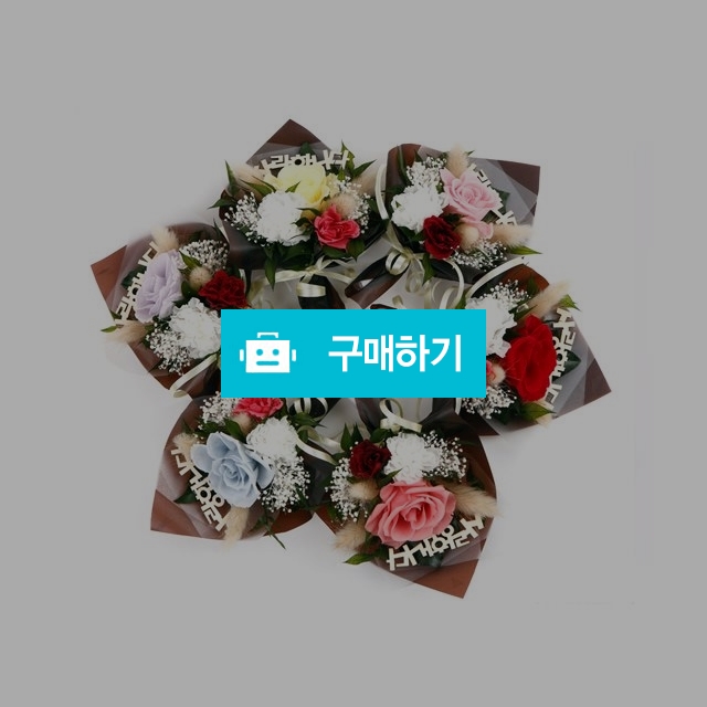 리멤버1 / 하루플라워님의 스토어 / 디비디비 / 구매하기 / 특가할인