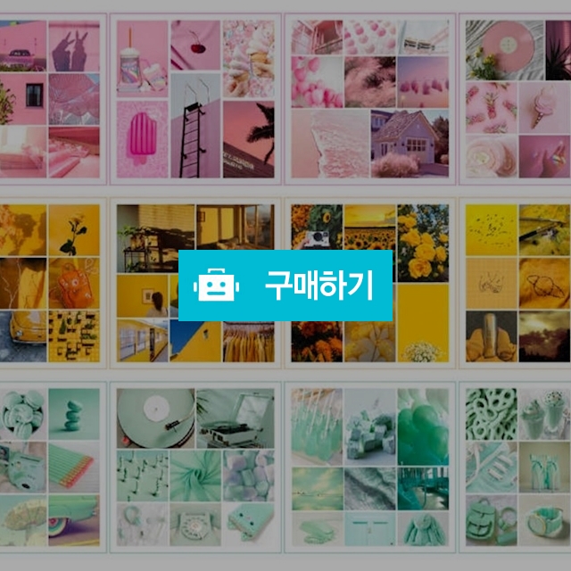 인스 / 니즈앤니즈 / 디비디비 / 구매하기 / 특가할인
