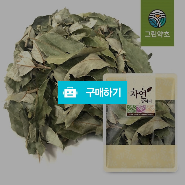 국내산 말린 참가시나무잎 이백저 300g / 그린약초 / 디비디비 / 구매하기 / 특가할인